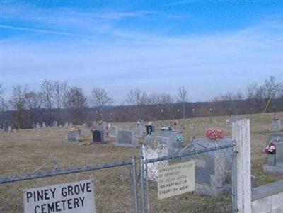 Piney Grove Cemetery #02 on Sysoon
