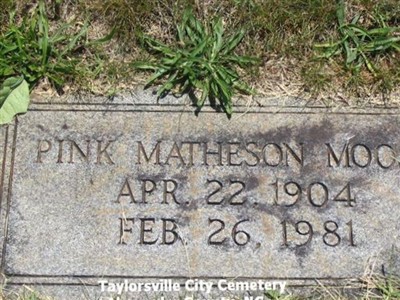 Pink Matheson Moose on Sysoon