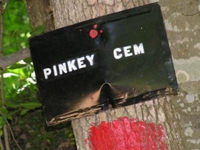 Pinkney Cemetery on Sysoon