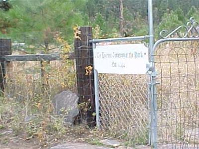 PIONEER CEMETERY IN THE PARK on Sysoon