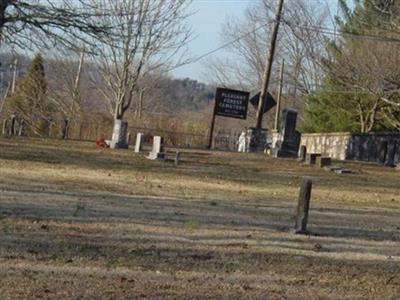 Pleasant Forest Cemetery on Sysoon