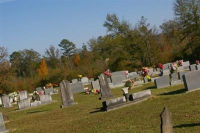 Pleasant Grove Missionary Baptist Church Cemetery on Sysoon