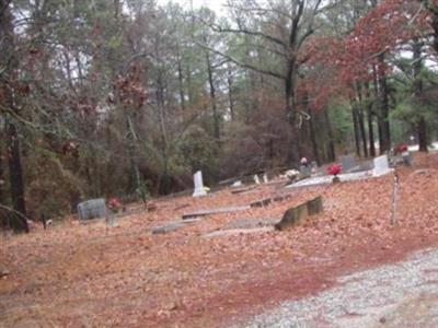 Pleasant Hill Primitive Baptist Cemetery on Sysoon