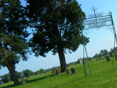 Pleasant Springs Cemetery on Sysoon