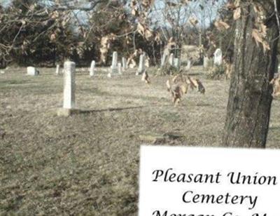 Pleasant Union Cemetery on Sysoon