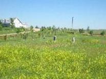 Pleasant Valley Cemetery on Sysoon