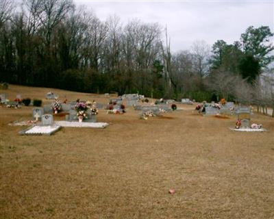 Plum Springs Cemetery on Sysoon