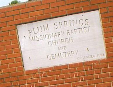 Plum Springs Cemetery on Sysoon