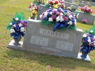 Pluma A Hambey on Sysoon