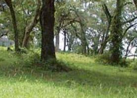 Plummer Family Cemetery on Sysoon