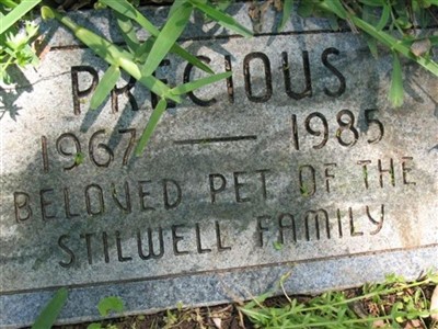 Precious Stilwell on Sysoon