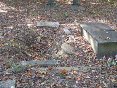 Old Salem Primitive Baptist Church Cemetery on Sysoon
