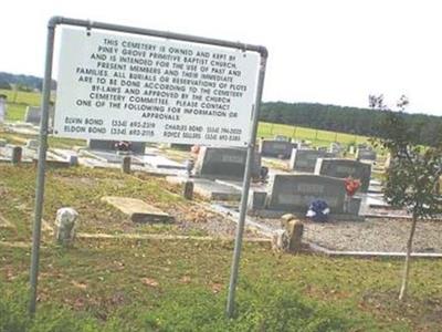 Piney Grove Primitive Baptist Church Cemetery on Sysoon