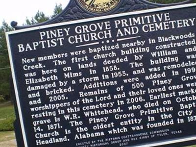 Piney Grove Primitive Baptist Church Cemetery on Sysoon