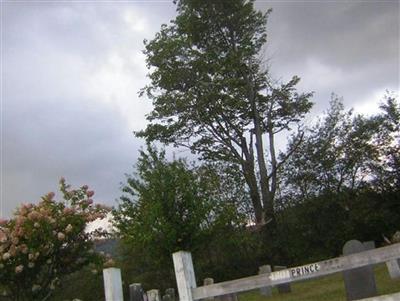 Prince Cemetery on Sysoon