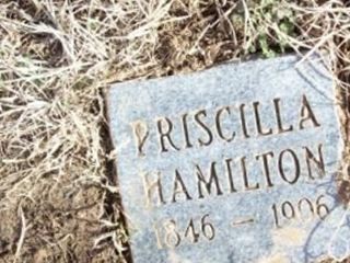 Priscilla Hamilton on Sysoon