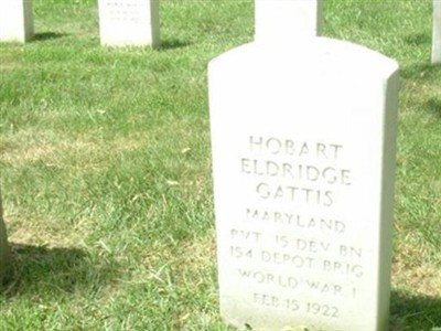 Private Eldridge Hobart Gattis on Sysoon