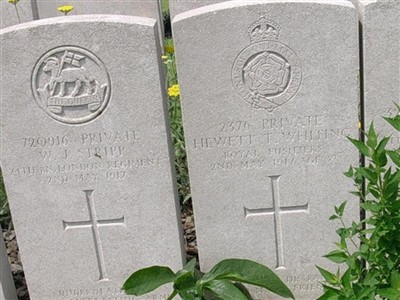 Private Hewett Trevelyn Whiting on Sysoon