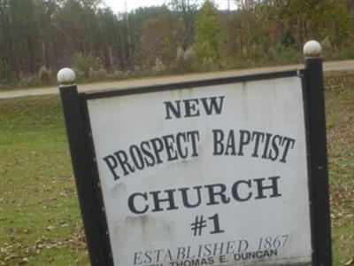 New Prospect Baptist Church Cemetery on Sysoon