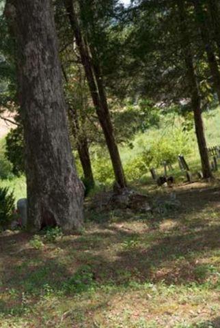 Puckett Cemetery on Sysoon