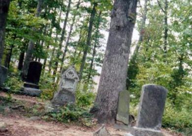 Purefoy Family Cemetery on Sysoon