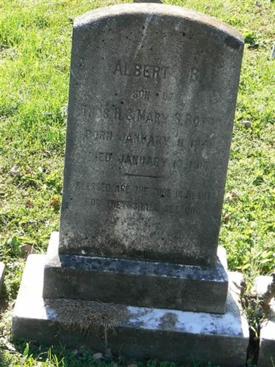 Pvt Albert Burnley Botts, Sr on Sysoon