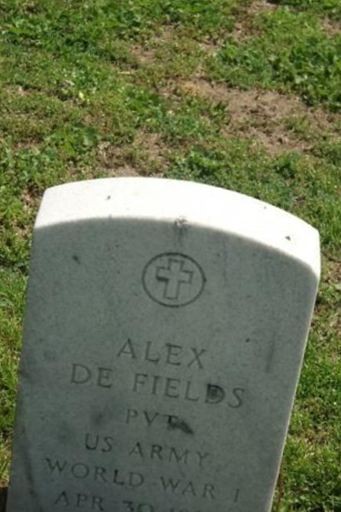 Pvt Alex De Fields on Sysoon