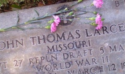 Pvt John Thomas Large, Jr on Sysoon