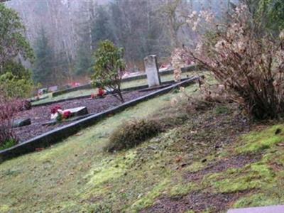 Quinault Cemetery on Sysoon