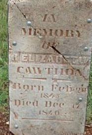 R Elizabeth Cawthon on Sysoon