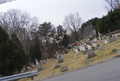 Raccoon Cemetery on Sysoon