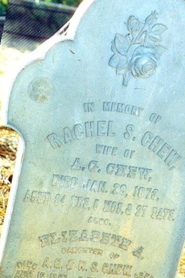 Rachel S. Chew on Sysoon