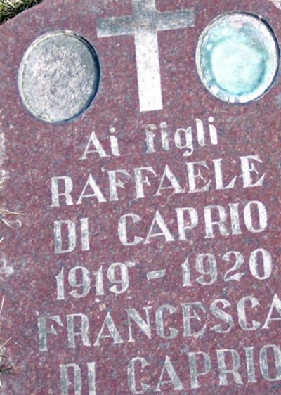 Raffaele DiCaprio on Sysoon