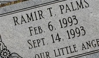 Ramir T Palms on Sysoon