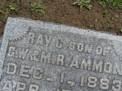 Ray C. Ammon on Sysoon