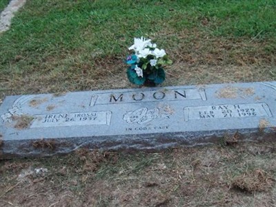 Ray H Moon on Sysoon