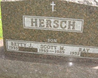 Ray Hersch on Sysoon