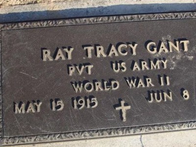 Ray Tracy Gant on Sysoon