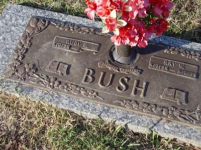 Ray W. Bush on Sysoon