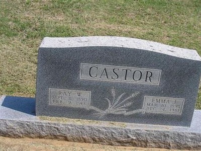 Ray W. Castor on Sysoon