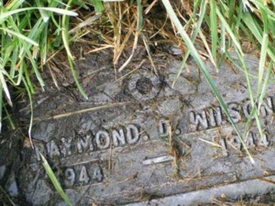 Raymond D Wilson on Sysoon