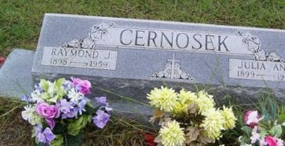 Raymond J Cernosek on Sysoon