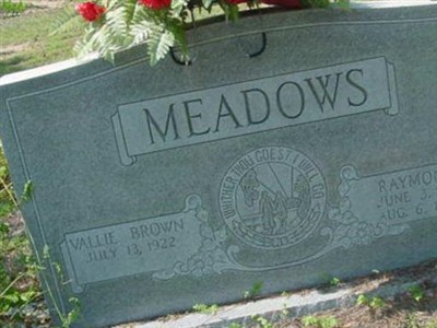 Raymond Meadows on Sysoon