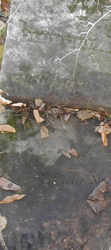 Rebecca Peck Closser, Find a grave on Sysoon Rebecca Peck Closser on Sysoon