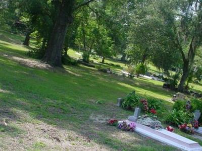 Reddick Community Cemetery on Sysoon