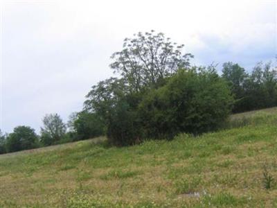 Reed/Birt/Kemp Family Plot on Sysoon