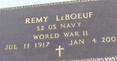 Remy LeBoeuf on Sysoon