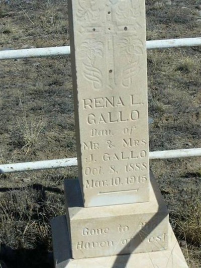 Rena L. Gallo on Sysoon
