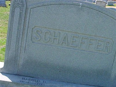 Renza L Schaeffer on Sysoon