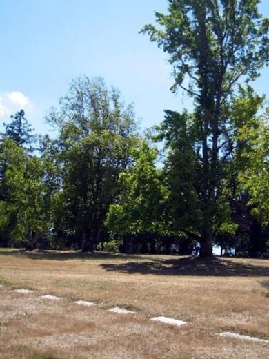 Rest-Haven Memorial Park on Sysoon